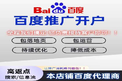 SEM托管实战：某电商平台的成功经验